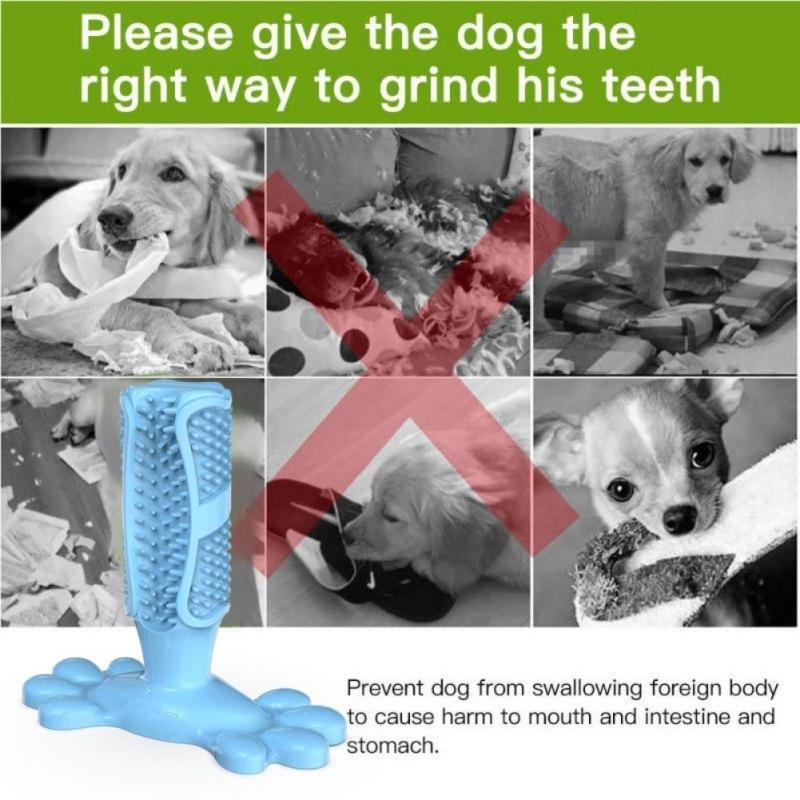 Escova de Dente Para Cachorros 2019 - Frete Grátis