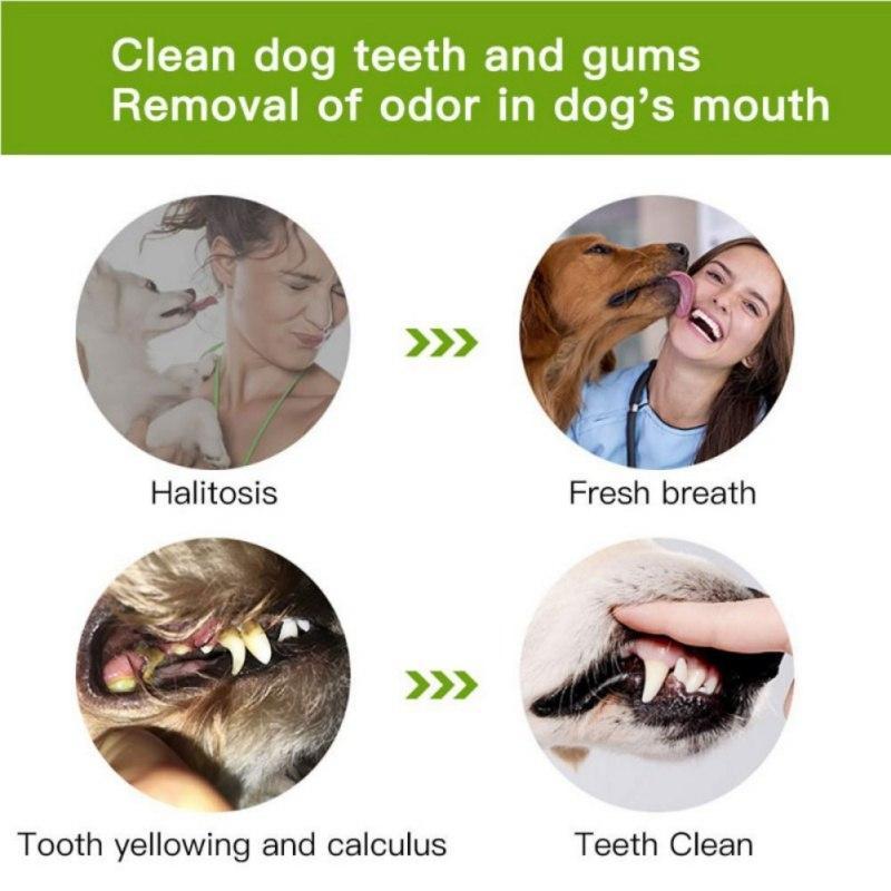 Escova de Dente Para Cachorros 2019 - Frete Grátis