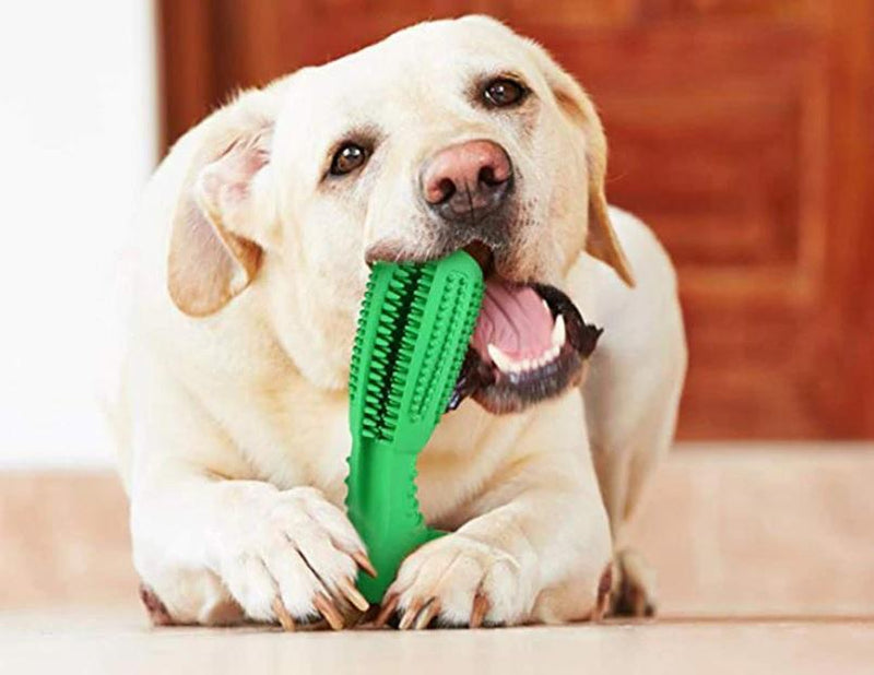 Dog Toothbrush - Escova De Dentes Para Animais